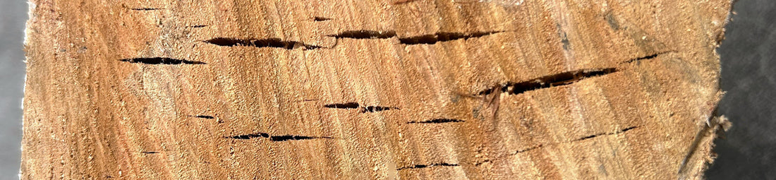 Dry Firewood - Gum showing dry cracking