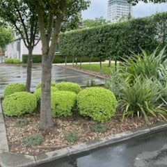 Mulch and Feed Example Garden