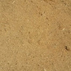 Fresh sawdust