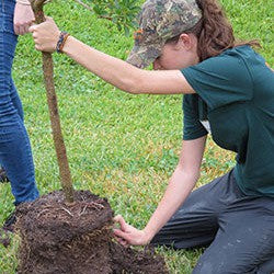 Garden Soil Bags 20L, Premixed and Ready to Plant | Garden Box