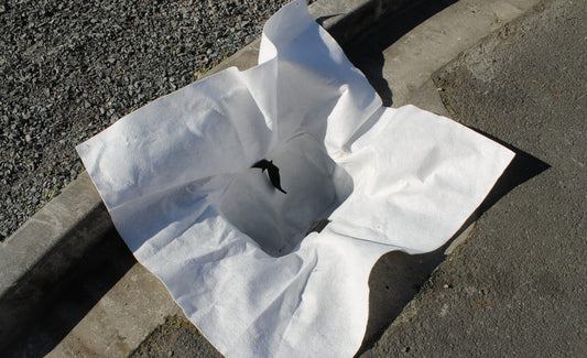 Filter Pod Catchpit Filter (Witches Hat)