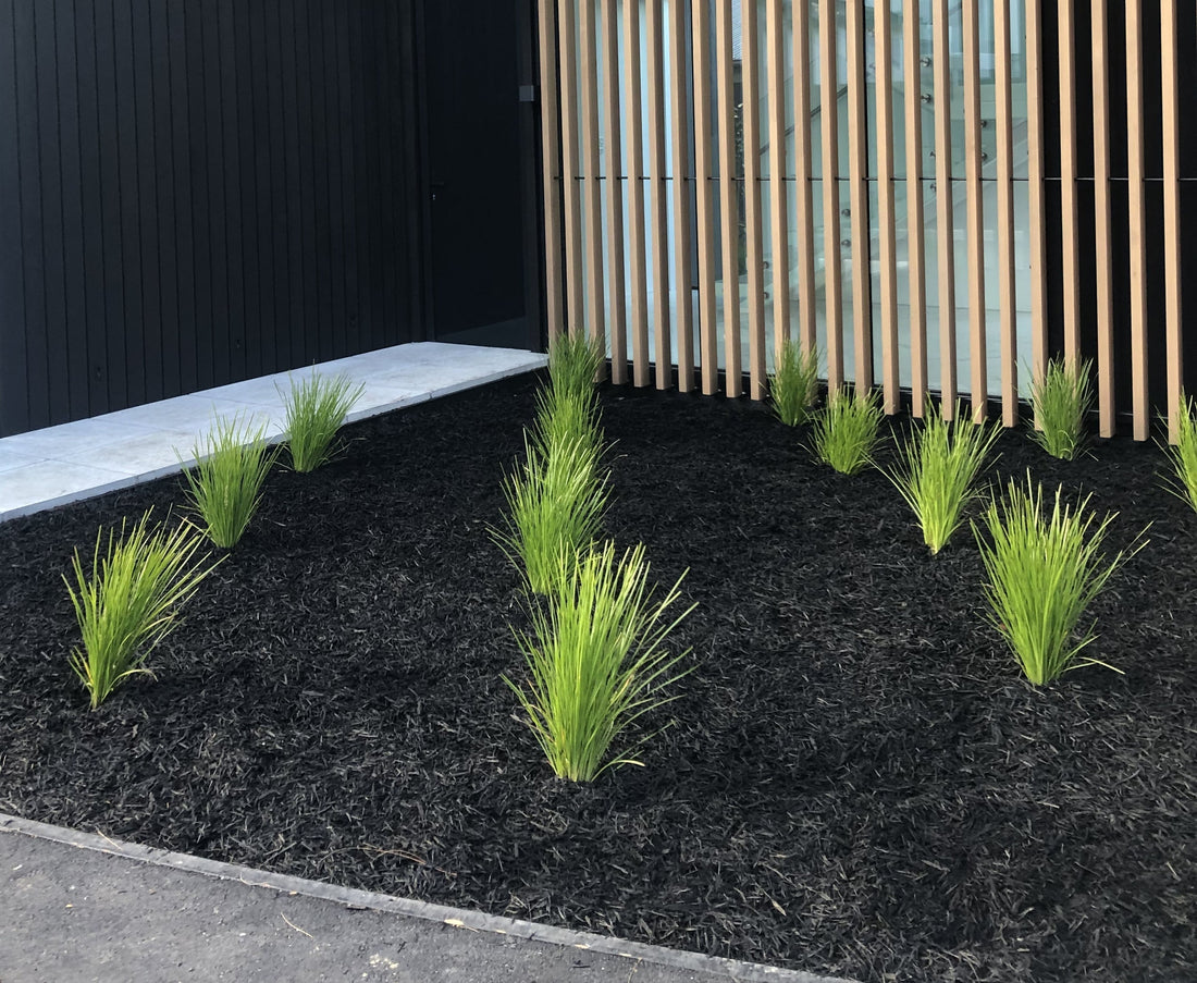 PRODUCT FEATURE: Black Mulch Two Great Options– Master of Contrast!