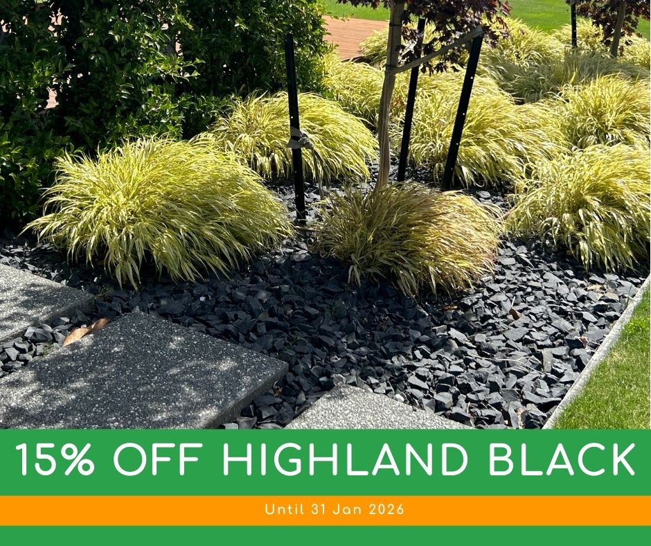 Special - Highland Black 15% Off (to 31 Jan 26)