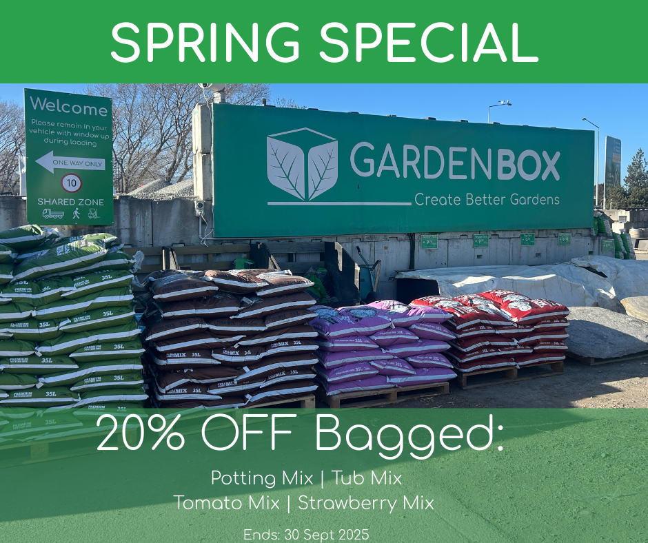 Spring has Sprung - 20% off bagged Mixes