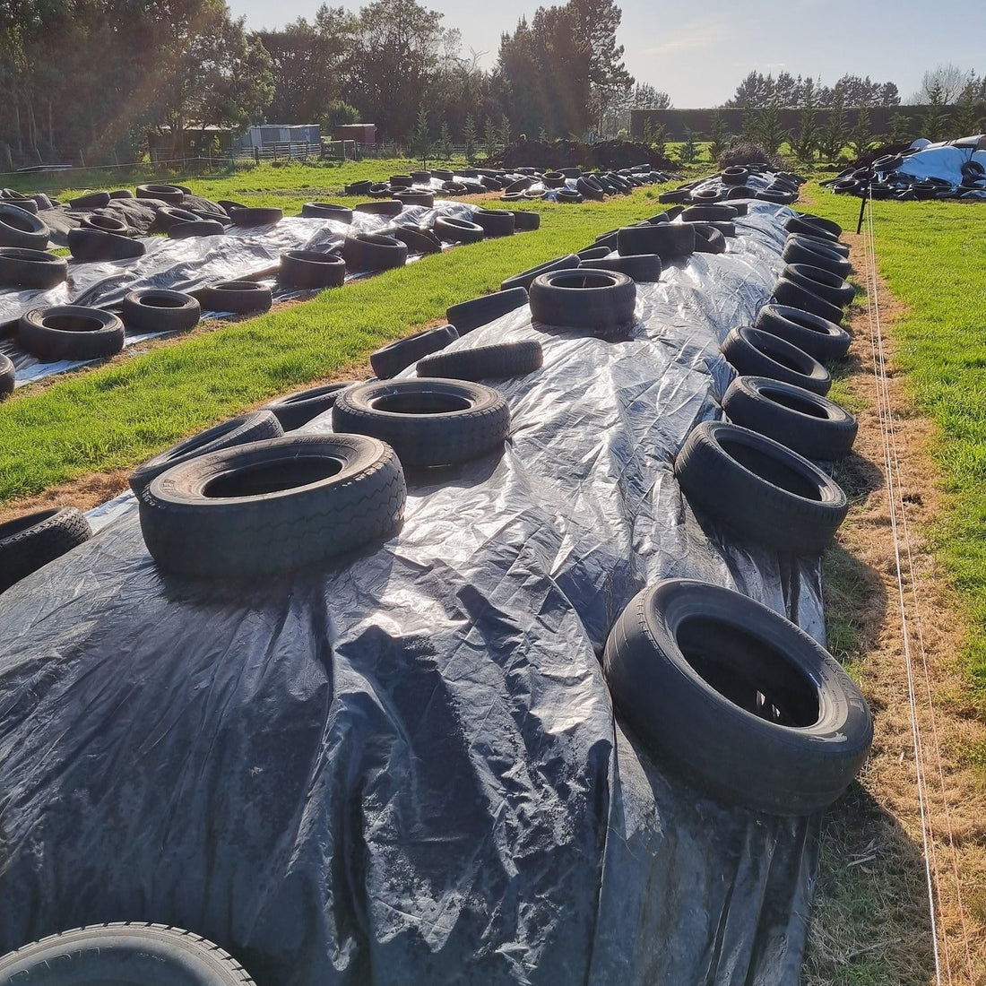 🪱 Worm Castings and Worm Tea  🪱