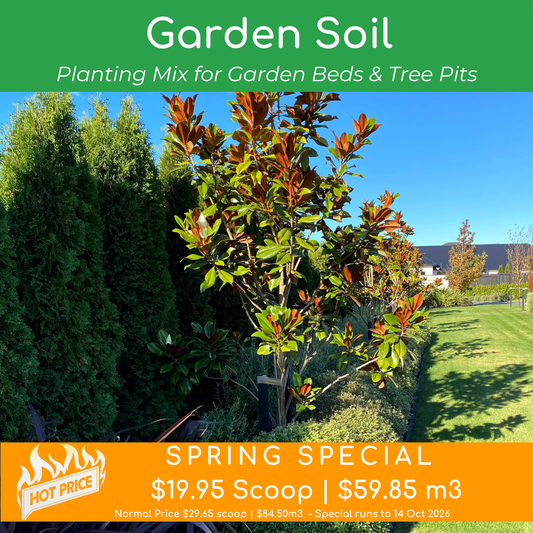 Garden Soil (Planting Mix) - - - [SCOOP]
