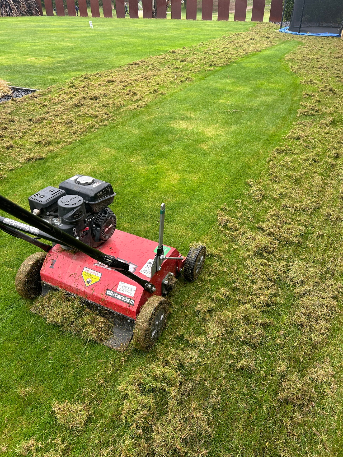 Lawn Scarifier – Tandem (medium & large lawns) - [Hire]