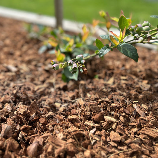 Coir Mulch / CocoChips Compressed 4.5kg (makes 60ltr)