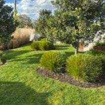 Mulch and Feed Example Garden