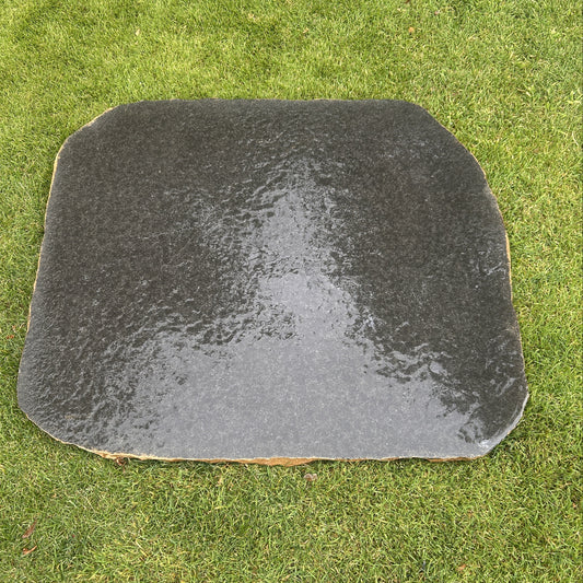 Stone Steppers  Bluestone Wet on Grass