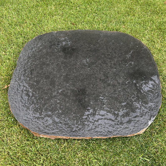 Stone Stepper Wet Bluestone on grass