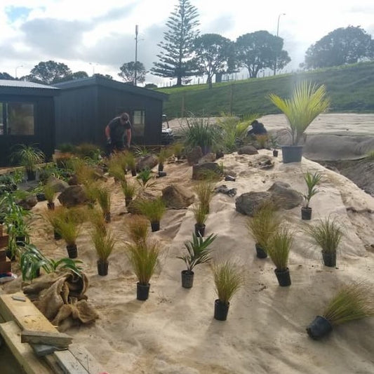 BioJute Biodegradable Weedmat