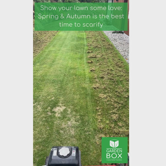 Lawn Scarifier – Ryan Turf (medium & large lawns) - [Hire]