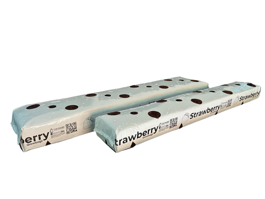 Coirmedia Strawberry Grow Bag - - - [20 litre]