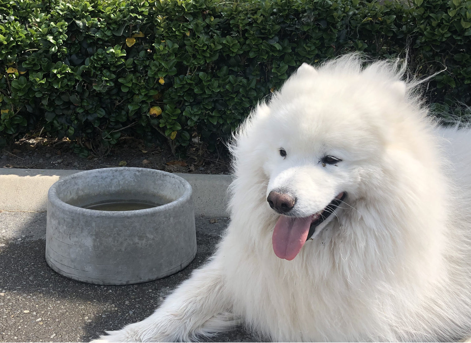 [Premium Quality Garden & Landscape Supplies Online]-Garden Box