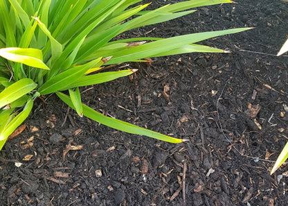 [Premium Quality Garden & Landscape Supplies Online]-Garden Box