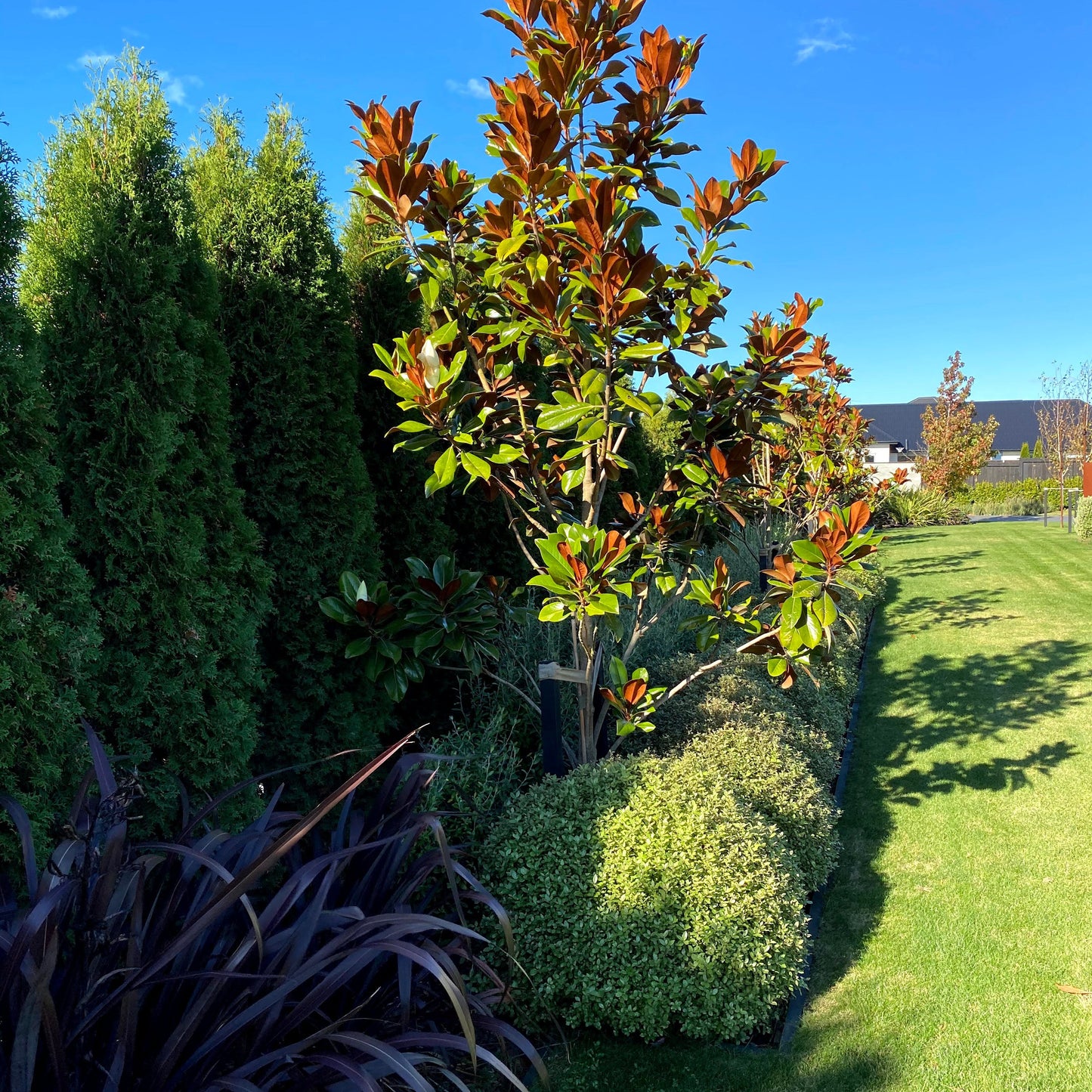 [Premium Quality Garden & Landscape Supplies Online]-Garden Box