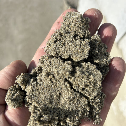 Turf Sand for lawn reno
