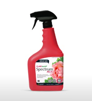 [Premium Quality Garden & Landscape Supplies Online]-Garden Box