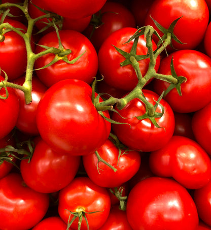 Tomato Mix (Grow Bag) - - - [35ltr Bag]